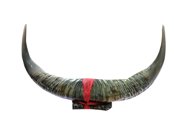 關(guān)于我們