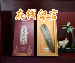 在線咨詢