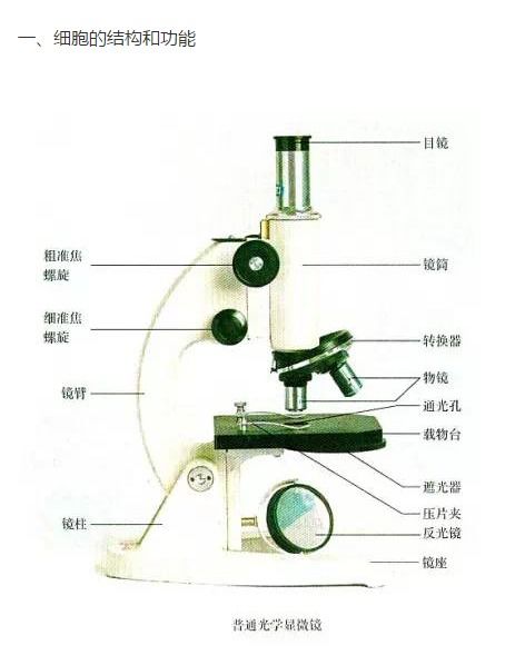 高中生物學(xué)基礎(chǔ)圖像考點(diǎn)與生物基材料技術(shù)研發(fā)