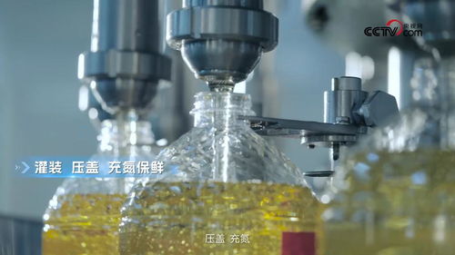 央視網走進多力安心工廠 探尋降低油煙技術專利與生物基材料研發的奧秘