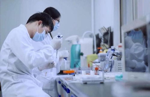 從土壤到實(shí)驗(yàn)室 中國引領(lǐng)化學(xué)合成糧食量產(chǎn)新紀(jì)元